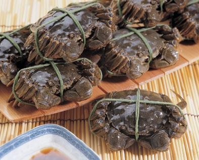 令人垂涎三尺的陽澄湖大閘蟹！