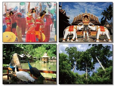 游西雙版納，領略南國風情